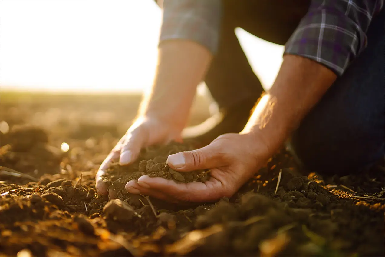 Persona agarrando tierra   