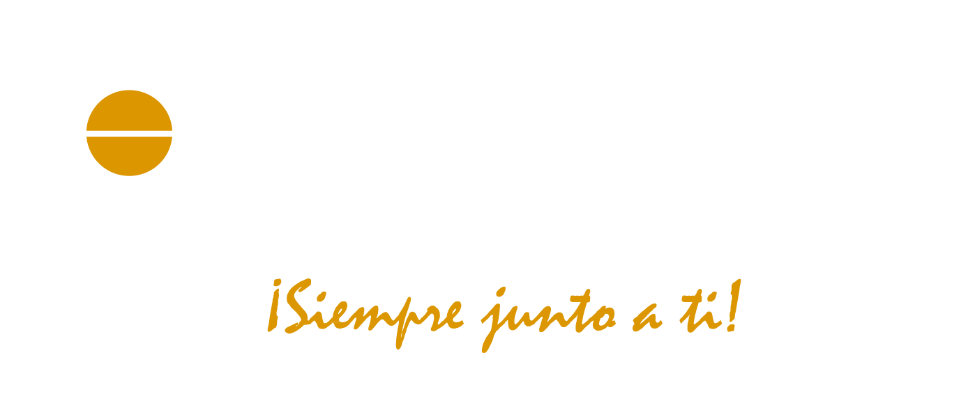 Logo solidaria